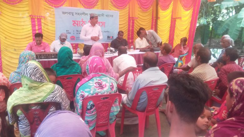 ঠাকুরগাঁওয়ে স্বল্প মেয়াদী ব্রিধান ৬৬ কর্তন উপলক্ষে মাঠ দিবস